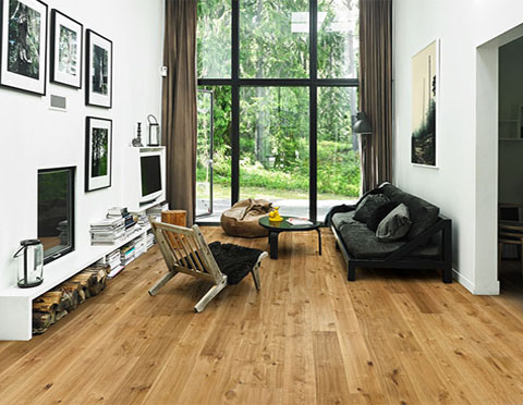 Wallpaper Shop in West Delhi